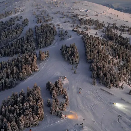 Friends Lux Appartamento *